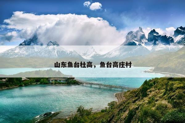 山东鱼台杜高，鱼台高庄村