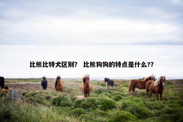 比熊比特犬区别？ 比熊狗狗的特点是什么?？