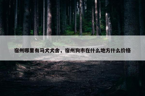 宿州哪里有马犬犬舍，宿州狗市在什么地方什么价格