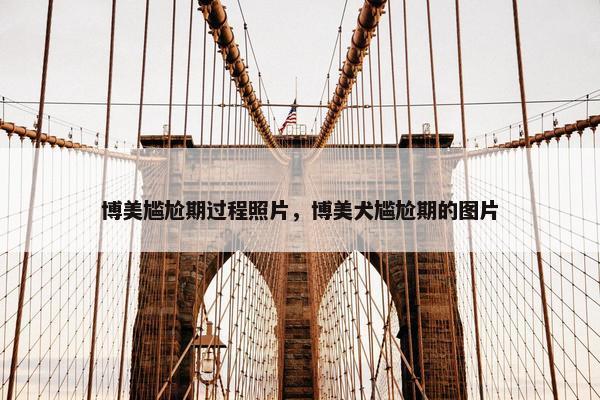 博美尴尬期过程照片，博美犬尴尬期的图片