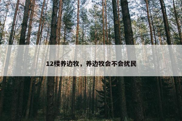 12楼养边牧，养边牧会不会扰民