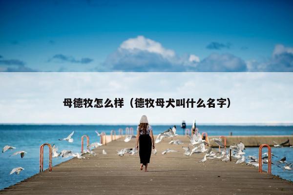 母德牧怎么样（德牧母犬叫什么名字）