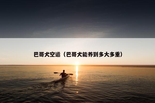 巴哥犬空运（巴哥犬能养到多大多重）