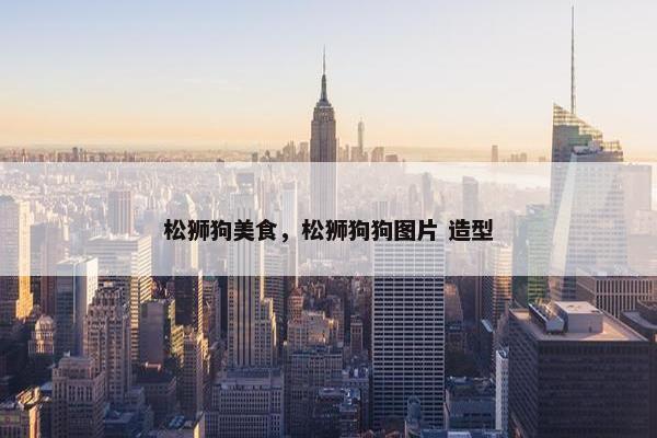 松狮狗美食，松狮狗狗图片 造型
