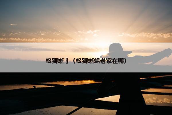 松狮蜥蝪（松狮蜥蜴老家在哪）