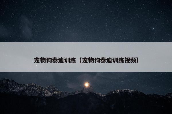 宠物狗泰迪训练（宠物狗泰迪训练视频）