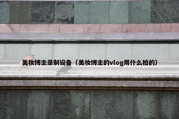 美妆博主录制设备（美妆博主的vlog用什么拍的）