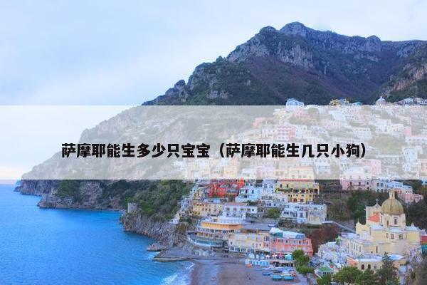萨摩耶能生多少只宝宝（萨摩耶能生几只小狗）