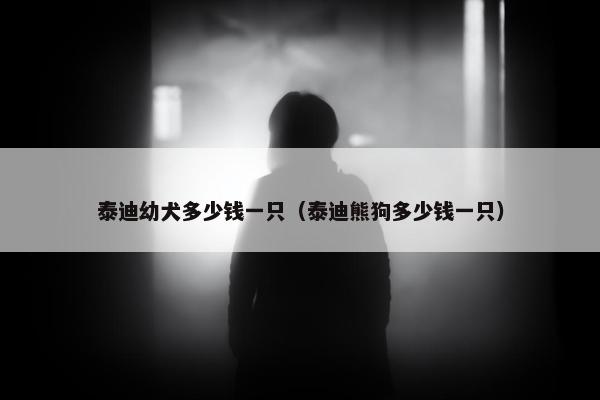 泰迪幼犬多少钱一只（泰迪熊狗多少钱一只）