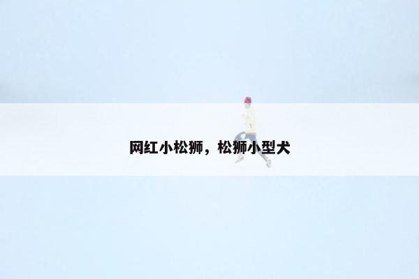 网红小松狮，松狮小型犬