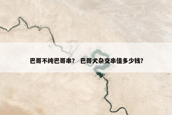 巴哥不纯巴哥串？ 巴哥犬杂交串值多少钱？