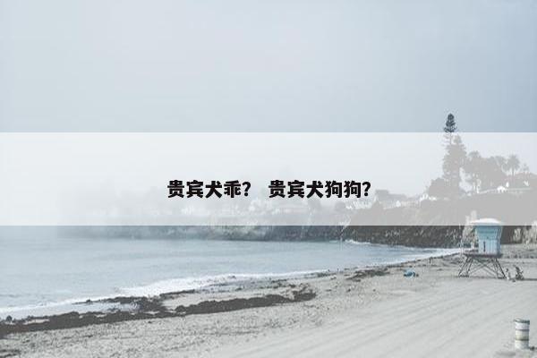 贵宾犬乖？ 贵宾犬狗狗？