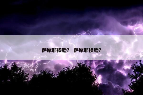 萨摩耶捧脸? 萨摩耶换脸? 萨摩耶捧脸? 萨摩耶换脸?