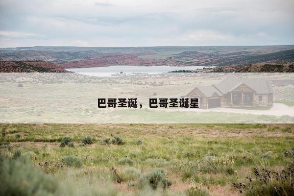 巴哥圣诞，巴哥圣诞星