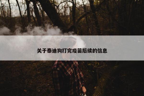 关于泰迪狗打完疫苗后续的信息 关于泰迪狗打完疫苗后续的信息