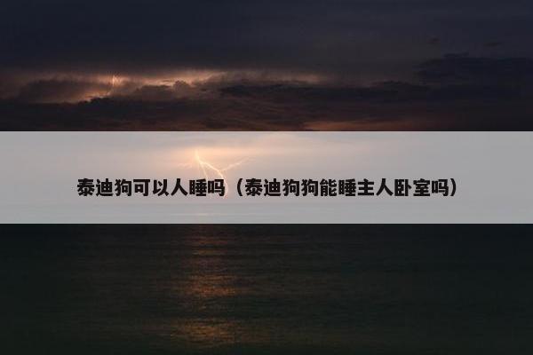 泰迪狗可以人睡吗（泰迪狗狗能睡主人卧室吗）