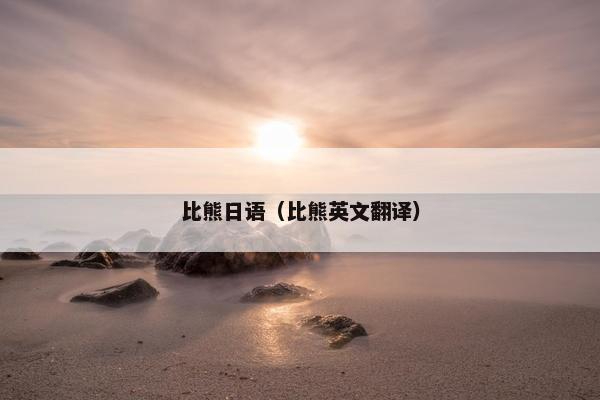 比熊日语（比熊英文翻译）