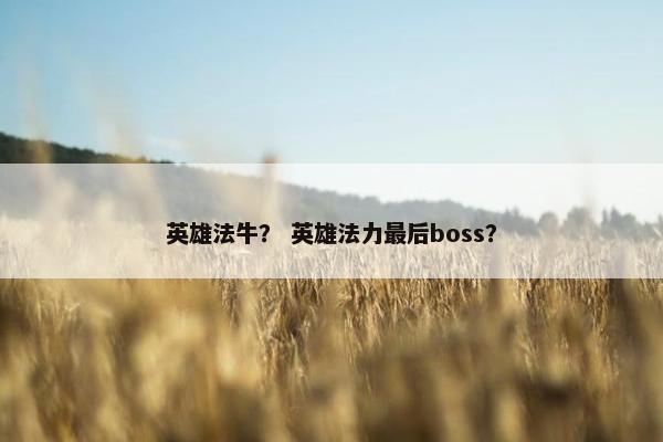 英雄法牛？ 英雄法力最后boss？