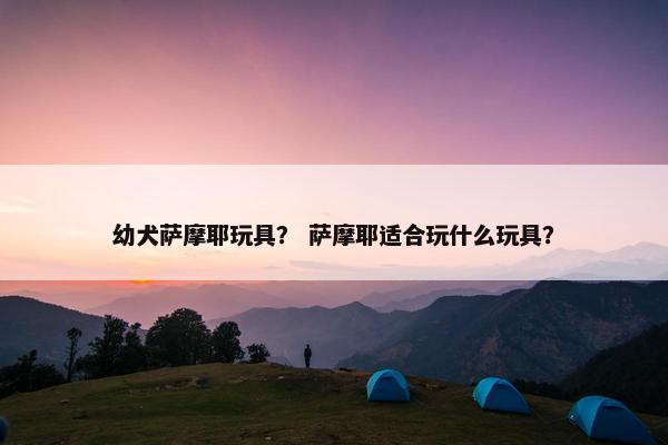 幼犬萨摩耶玩具？ 萨摩耶适合玩什么玩具？