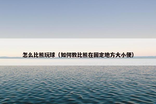 怎么比熊玩球（如何教比熊在固定地方大小便）