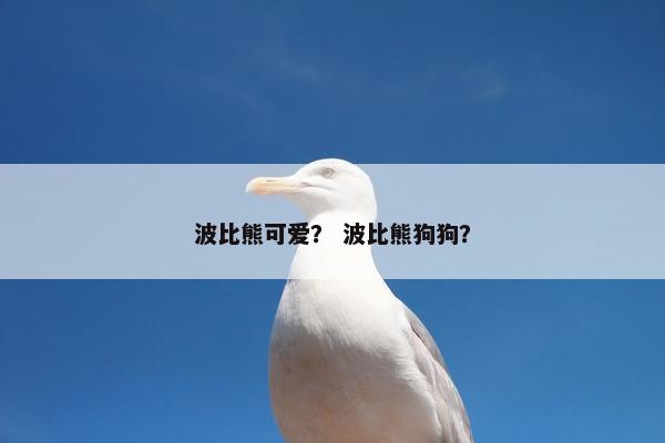 波比熊可爱？ 波比熊狗狗？