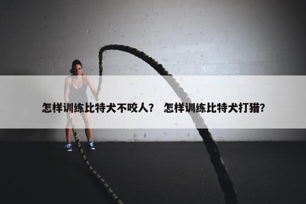 怎样训练比特犬不咬人？ 怎样训练比特犬打猎？