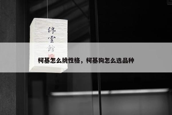 柯基怎么挑性格，柯基狗怎么选品种