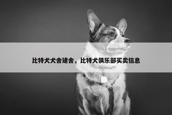 比特犬犬舍建舍，比特犬俱乐部买卖信息