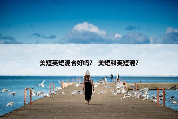 美短英短混合好吗？ 美短和英短混？