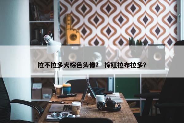 拉不拉多犬棕色头像？ 棕红拉布拉多？