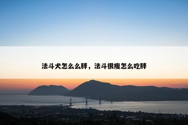 法斗犬怎么么胖，法斗很瘦怎么吃胖