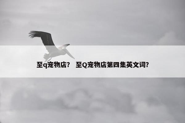 至q宠物店？ 至Q宠物店第四集英文词？