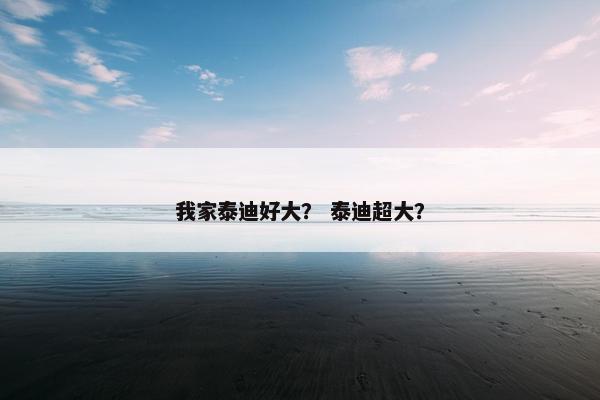 我家泰迪好大？ 泰迪超大？