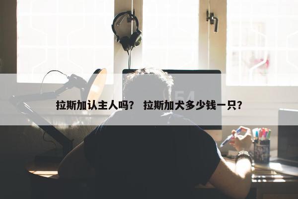 拉斯加认主人吗？ 拉斯加犬多少钱一只？