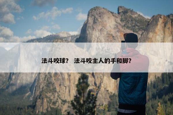法斗咬球？ 法斗咬主人的手和脚？