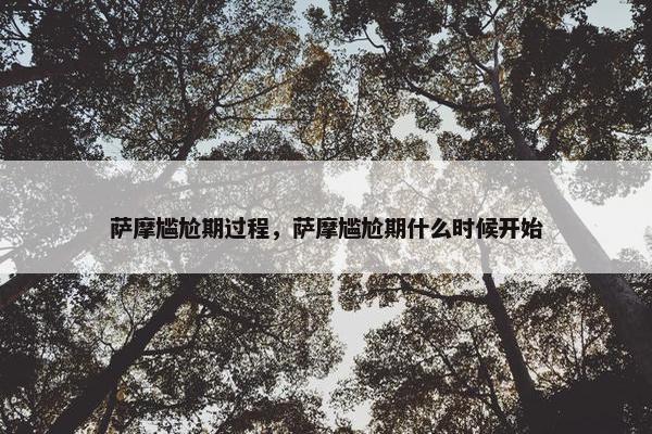 萨摩尴尬期过程，萨摩尴尬期什么时候开始