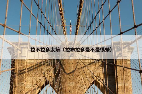 拉不拉多太笨（拉布拉多是不是很笨）