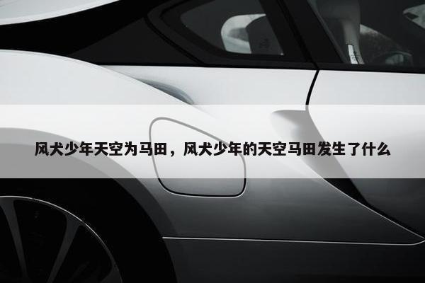 风犬少年天空为马田，风犬少年的天空马田发生了什么