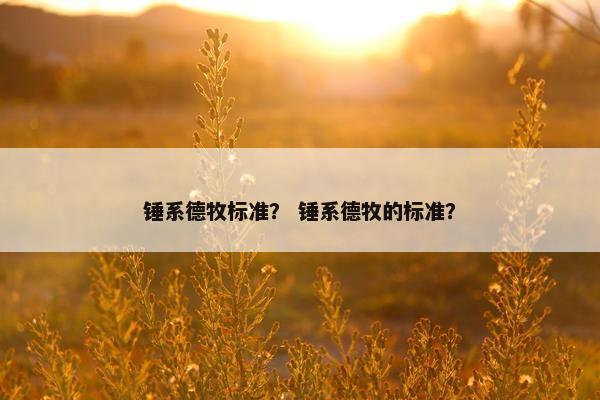 锤系德牧标准？ 锤系德牧的标准？