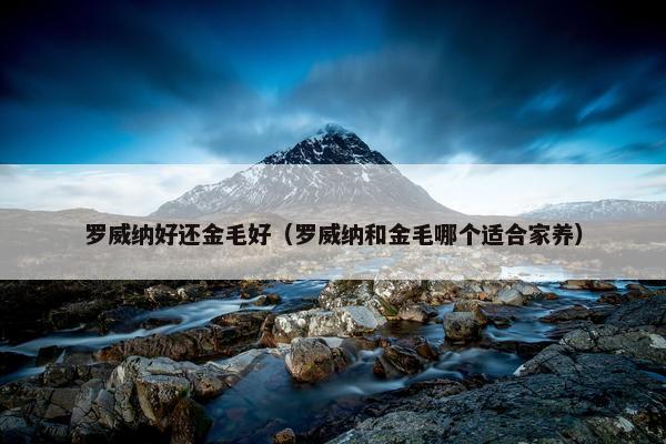 罗威纳好还金毛好（罗威纳和金毛哪个适合家养）