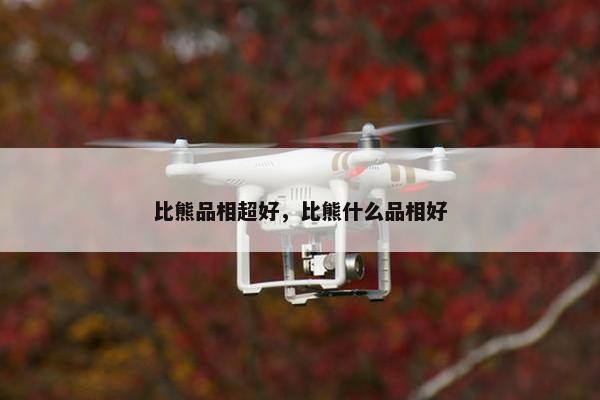 比熊品相超好，比熊什么品相好