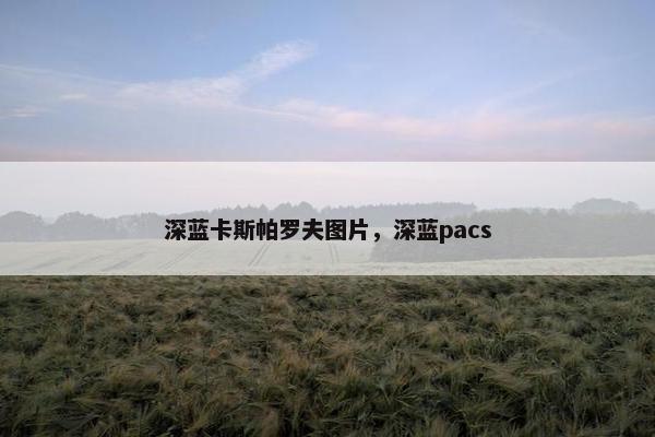 深蓝卡斯帕罗夫图片，深蓝pacs