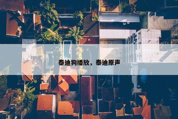 泰迪狗播放，泰迪原声