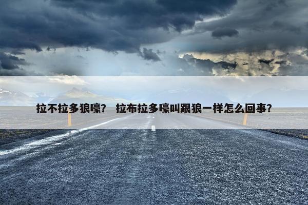 拉不拉多狼嚎？ 拉布拉多嚎叫跟狼一样怎么回事？