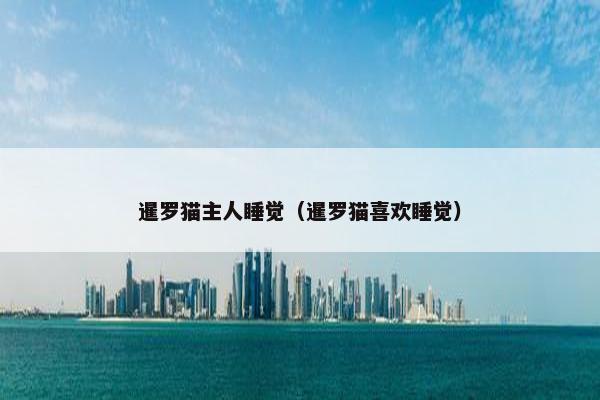 暹罗猫主人睡觉（暹罗猫喜欢睡觉）