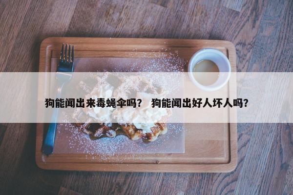 狗能闻出来毒蝇伞吗？ 狗能闻出好人坏人吗？