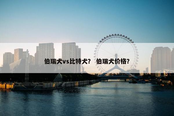 伯瑞犬vs比特犬？ 伯瑞犬价格？