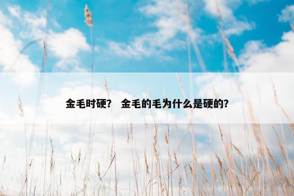 金毛时硬? 金毛的毛为什么是硬的? 金毛时硬? 金毛的毛为什么是硬的?