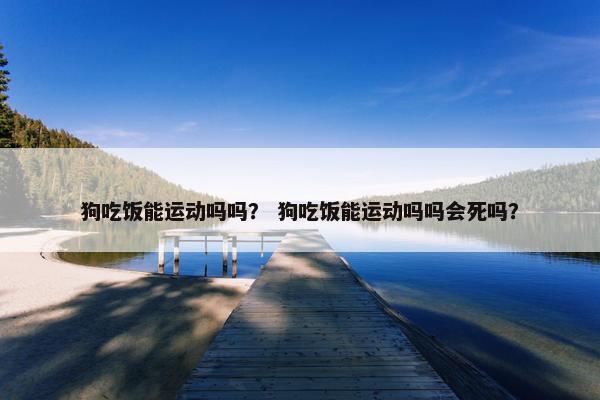 狗吃饭能运动吗吗？ 狗吃饭能运动吗吗会死吗？