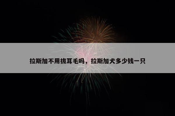 拉斯加不用拔耳毛吗，拉斯加犬多少钱一只